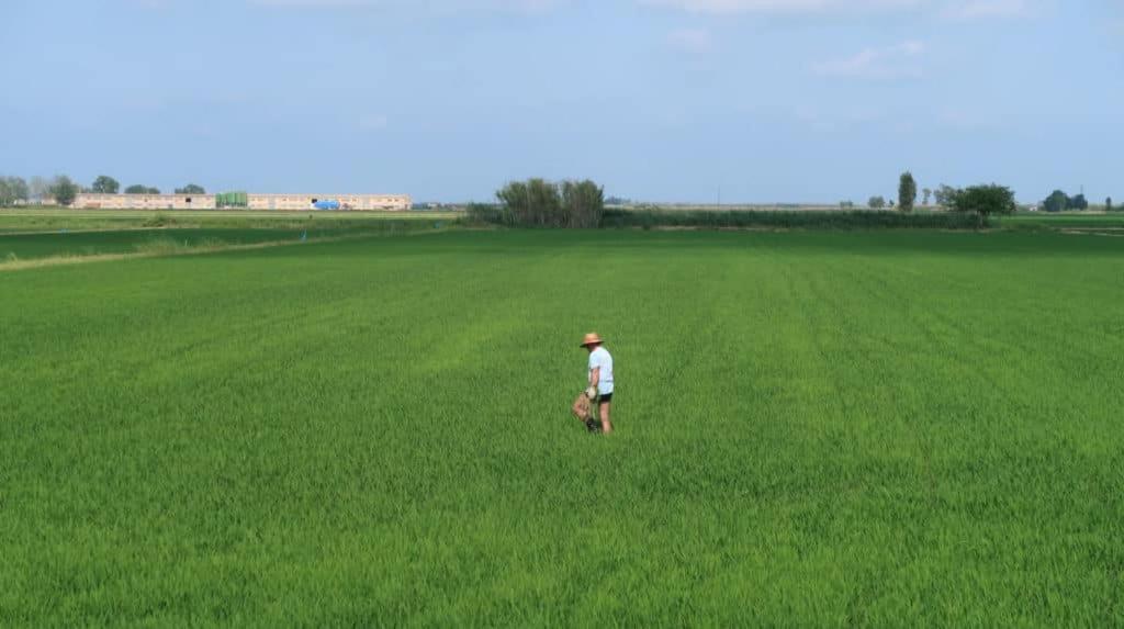 Apartamento Delta Del Ebro Amposta Dış mekan fotoğraf